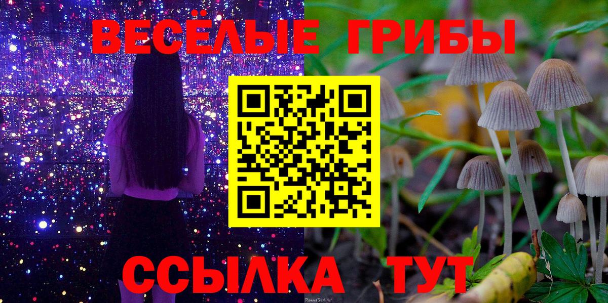 Пугачёв  Галлюциногенные грибы MAGIC MUSHROOMS  Вход с VPN 